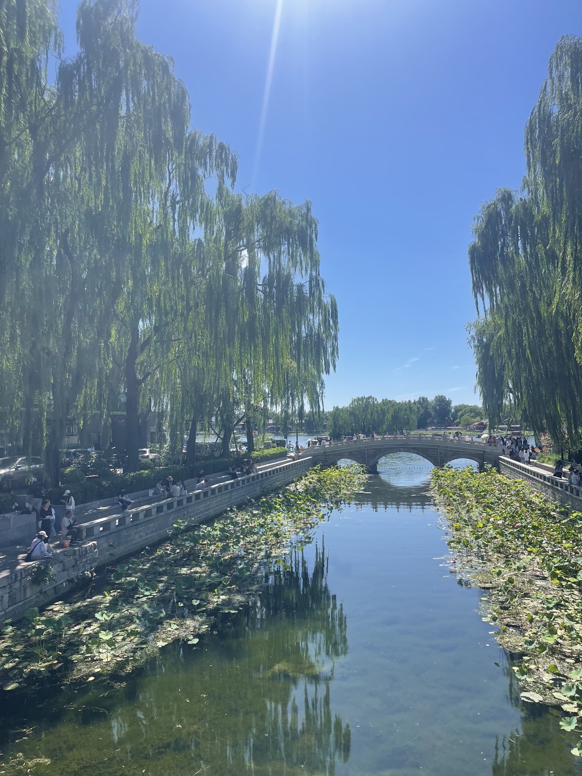 Lotus pond and stone bridge at the Summer Palace